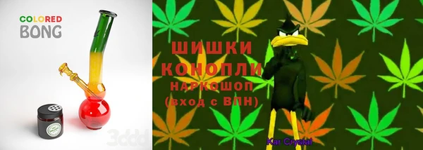 прущая мука Инсар